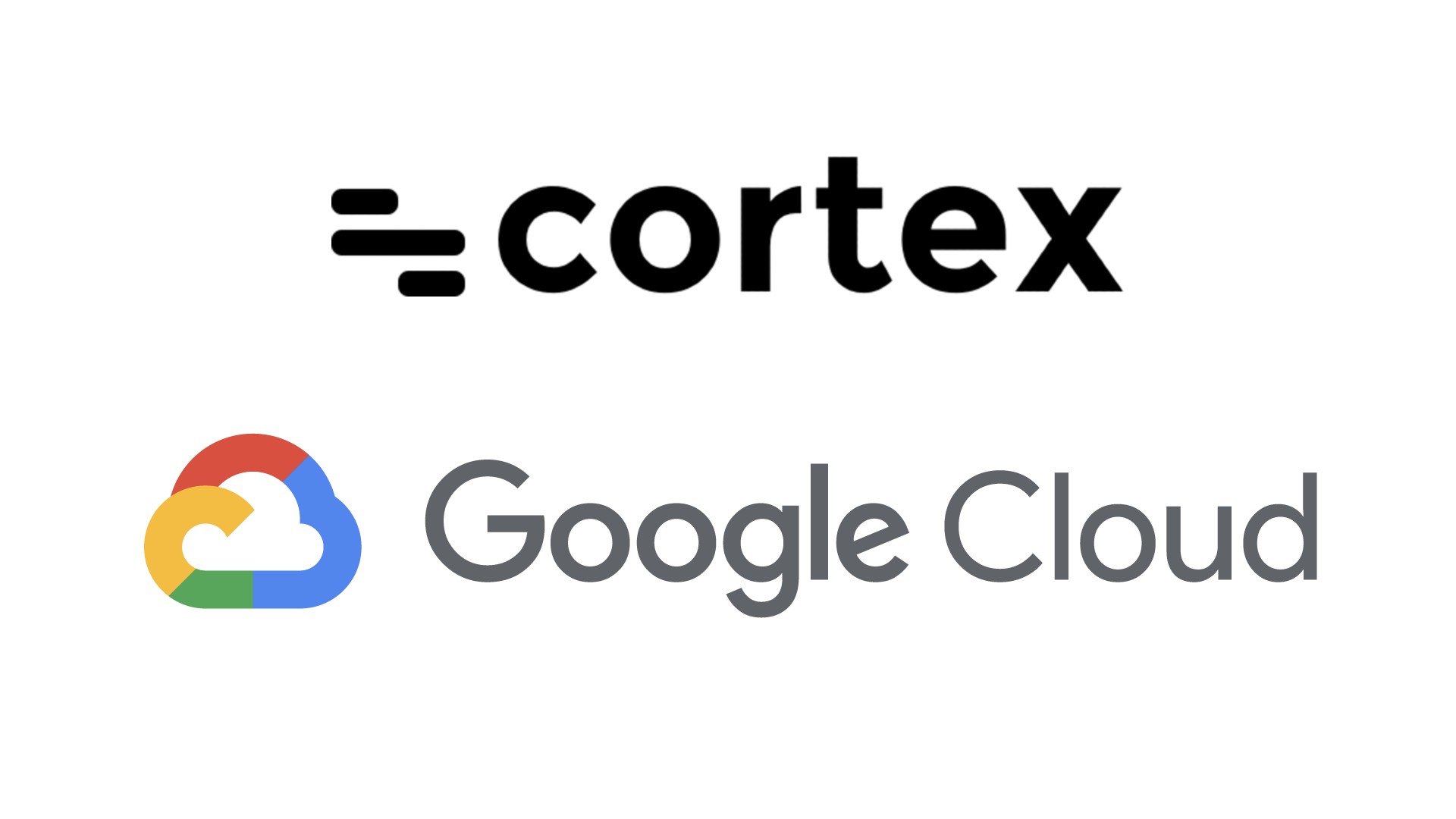 Go Gopher mascot with code